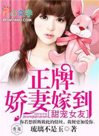 甜宠女友，正牌娇妻嫁到