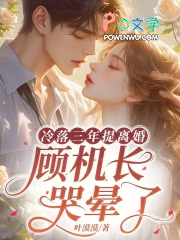 冷落三年提离婚，顾机长哭晕了