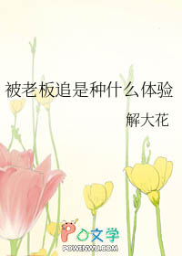 被老板追是种什么体验