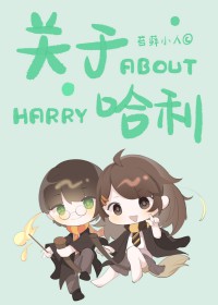 [HP] 关于哈利
