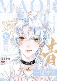 对毛茸茸一见钟情