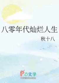 八零年代灿烂人生