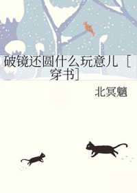 破镜还圆什么玩意儿[穿书]