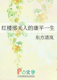 红楼邢夫人的康平一生