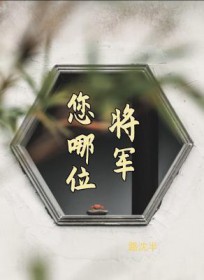 将军，您哪位