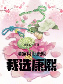 清穿：阿哥，康熙，我选康熙
