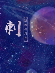 刺：玫瑰与月光