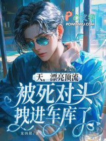 天，漂亮顶流被死对头拽进车库了