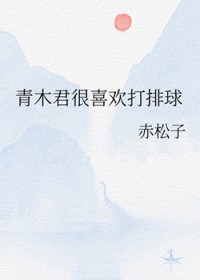 [排球少年同人] 青木君很喜欢打排球
