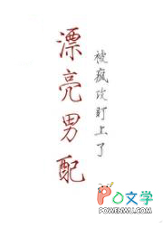 漂亮男配被疯攻盯上了