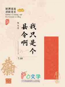 我只是个县令啊