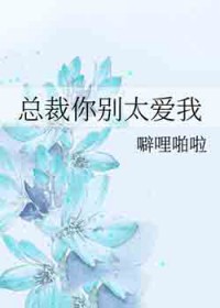 总裁你别太爱我