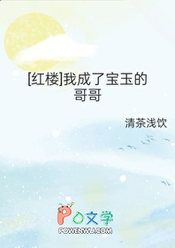 [红楼] 我成了宝玉的哥哥