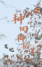 种田种稻笔记