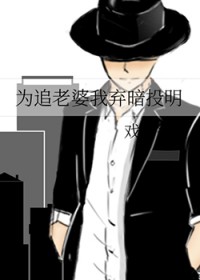 为追老婆我弃暗投明