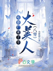 电器厂来了个大美人[八零]