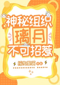 [综原神] 神秘组织璃月不可招惹