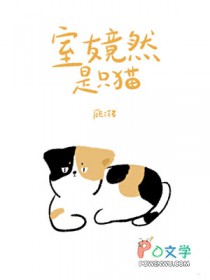 室友竟然是只猫