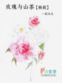 [韩娱同人] 玫瑰与山茶