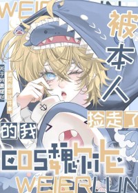 [综漫] Cos魏尔伦后我被本人捡走了