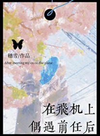 在飞机上偶遇前任后