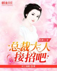 惹祸上身：总裁大人，接招吧！