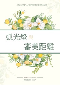 弧光灯与审美距离