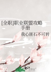 [全职同人] 职业联盟攻略手册