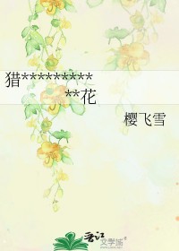 [猎人同人] 开在黑暗的水兰花