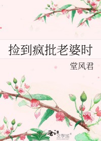 捡到疯批老婆时